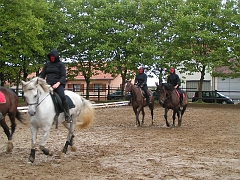 PO 2008 (39)